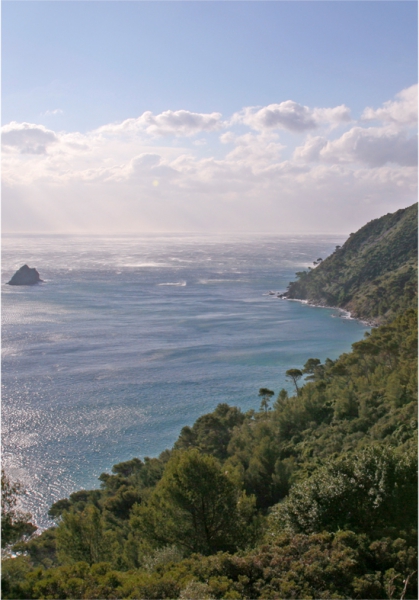 La Seyne et Six-Fours – Natura 2000 &lsquo;Cap Sicié&rsquo; TPM animateur pour 3 ans