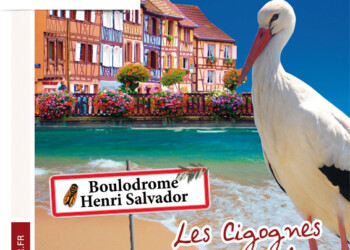 Grand marche de Terroir et de Noël Alsacien à St Cyr