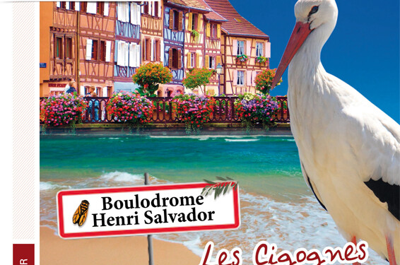 Grand marche de Terroir et de Noël Alsacien à St Cyr