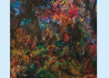 Expo Pascal Ewald à Six Fours