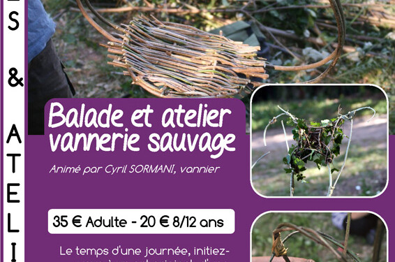 Balade et atelier vannerie sauvage à la Garde-Freinet