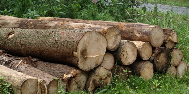 Obligations légales de débroussaillement à Six Fours