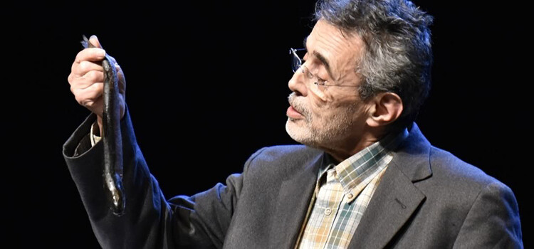 Théâtres en Dracénie présentent Vertiges