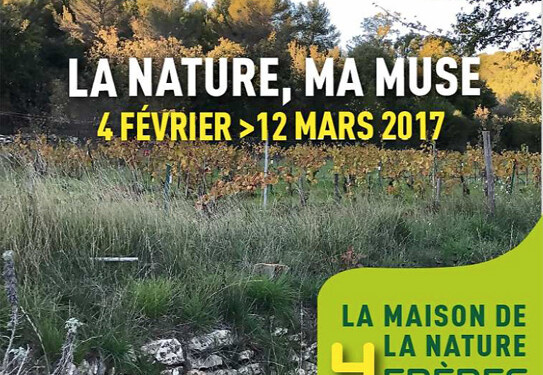 En mars, à la Maison de la Nature des Quatre Frères