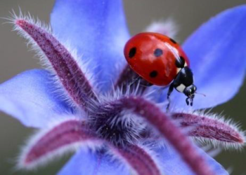 vacances scolaires paques 2017 var