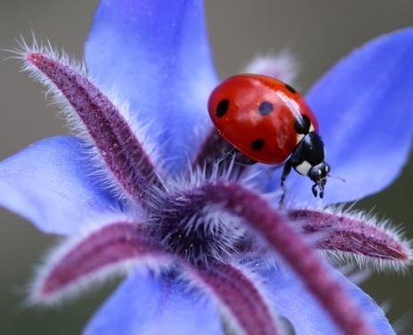 vacances scolaires paques 2017 var