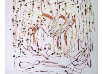 Exposition de Nadine Amate à Fox-Amphoux