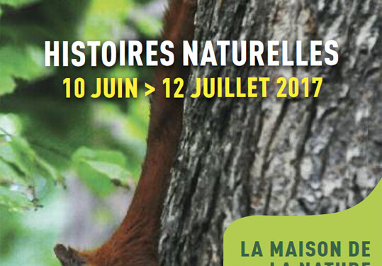 La Maison des 4 Frères vous propose une nouvelle expo