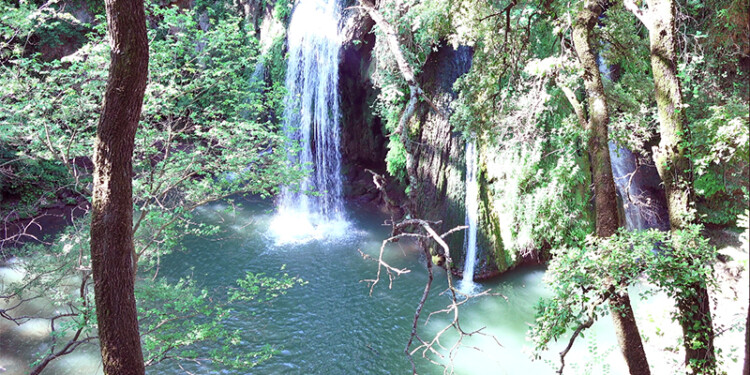 Idepro aux chutes du grand Baou