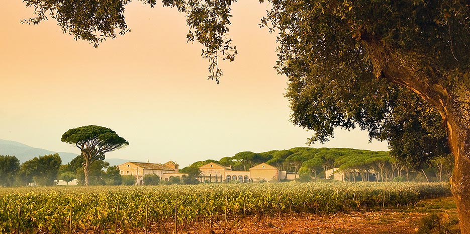 Festival les Musicales dans les Vignes