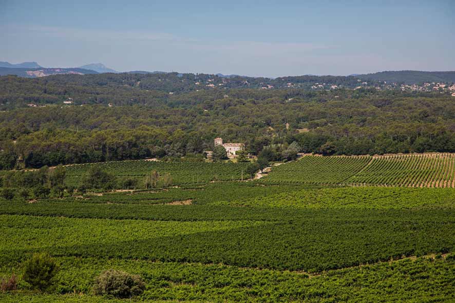 Festival les Musicales dans les Vignes
