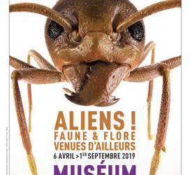 Exposition Aliens ! Faune et Flore venues d&rsquo;ailleurs (vidéo)