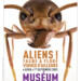 Exposition Aliens ! Faune et Flore venues d&rsquo;ailleurs (vidéo)