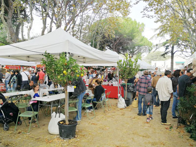 grand marché de terroir et de Noël Alsacien
