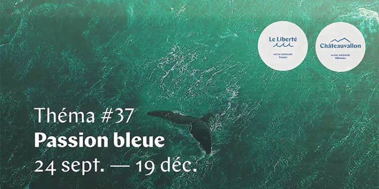 Théma#37 Passion bleue