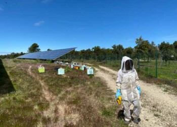 Engie Green au Verdon avec Apicluster et France Nature Environnement