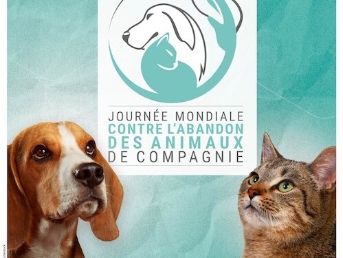 journee abandon animaux de compagnie