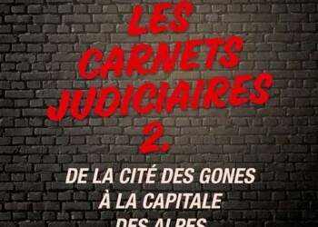 Les carnets Judiciaires 2, de Meddy Viardot