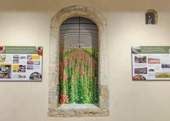 Musée de la Fleur à Ollioules