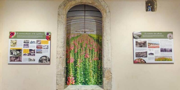 Musée de la Fleur à Ollioules
