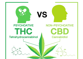 Le CBD, mieux comprendre