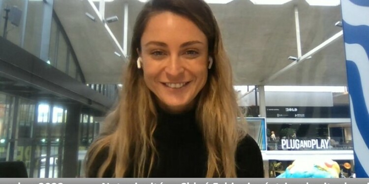 Paaw.co : adoptez en ligne !