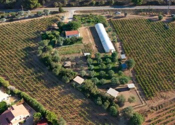 Le Cabanon des Vignes_info83