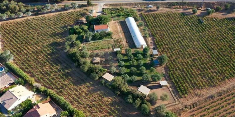 Le Cabanon des Vignes_info83