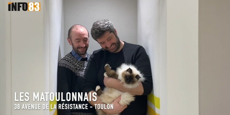 pension pour chats Toulon