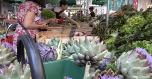 Marché des producteurs