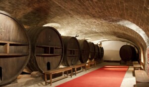 Cave à vin souterraine, Château de Saint martin