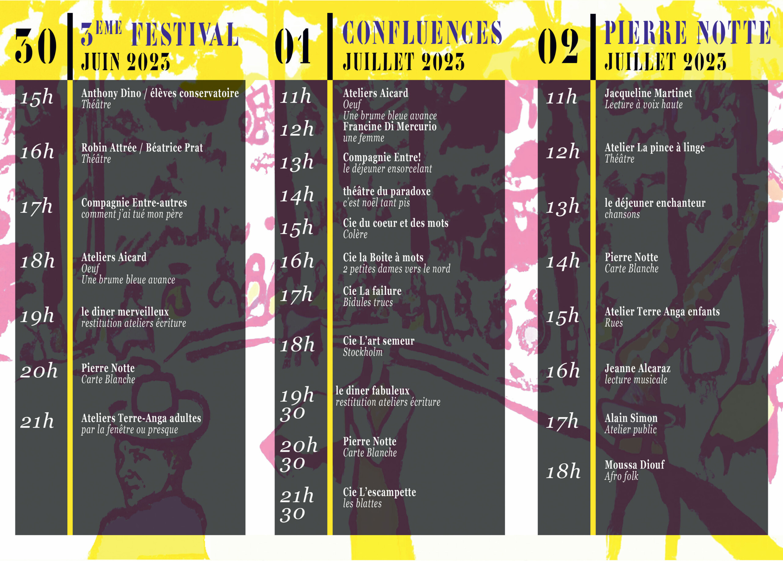 Festival Confluences 