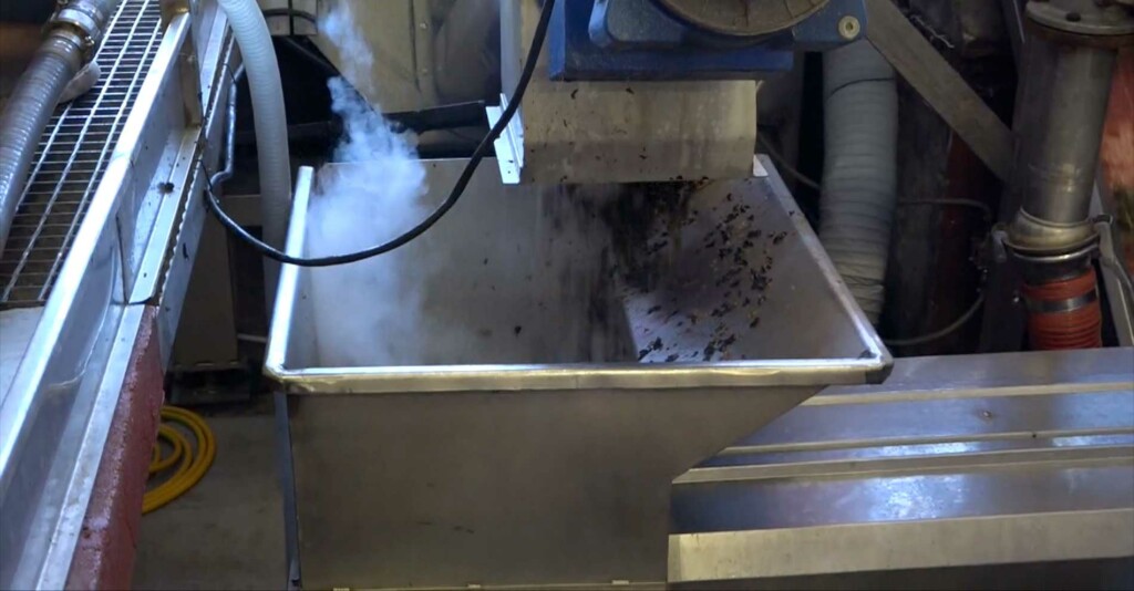 vinification