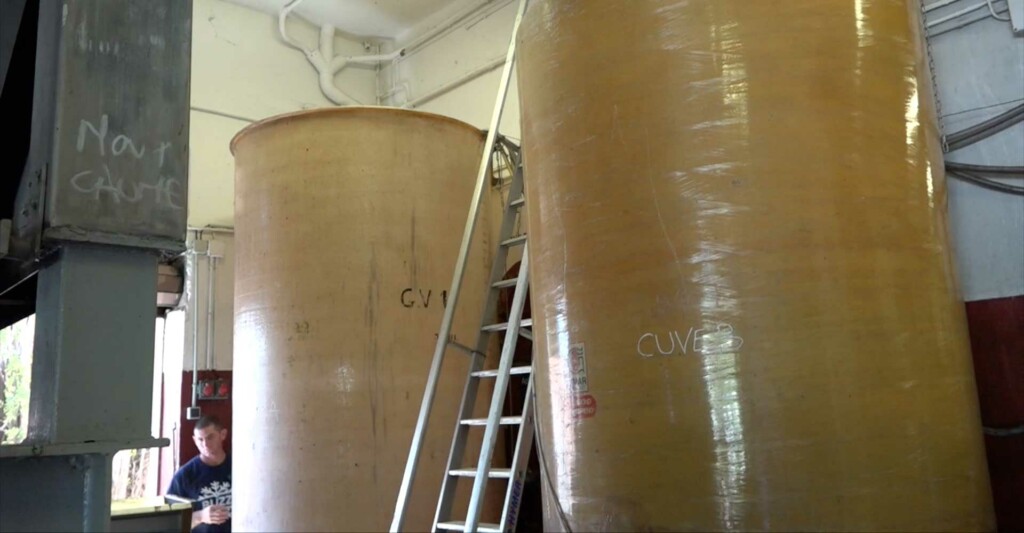 vinification