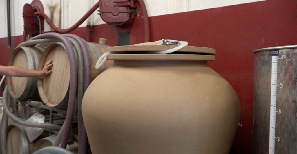 vinification
