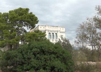 Institut Michel Pacha_info83