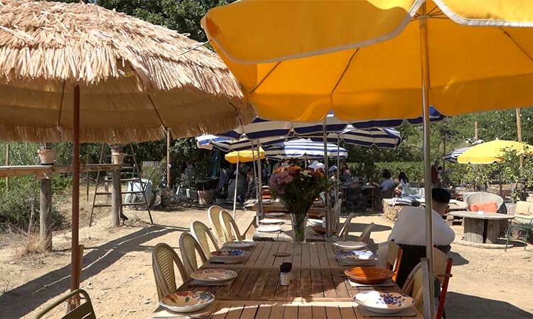 L'auberge-Jaubert-guinguette-saint-côme_info83