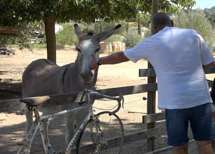 L'auberge-Jaubert-guinguette-saint-côme_info83