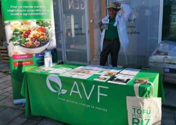 AVF Var_info83