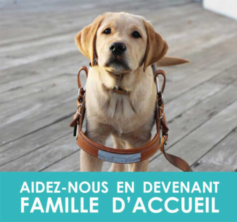 Chiens Guides d'Aveugles 