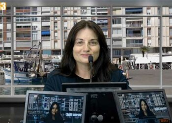 Recours contre vétérinaire, quelles ont-ils ?