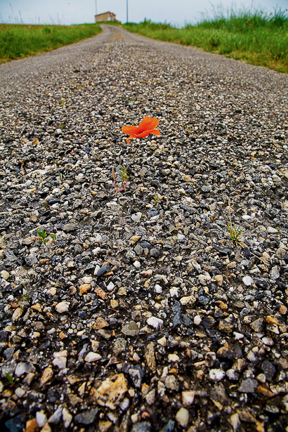 Photos Fauteuils_info83