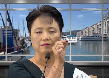 Boite Lions SOS Toulon Port la montagne