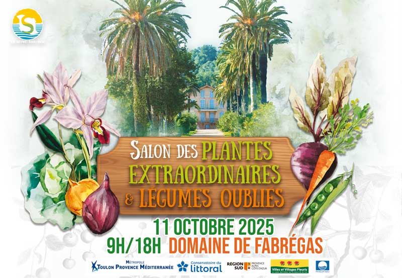 Les sorties dans le Var en octobre et novembre 2025