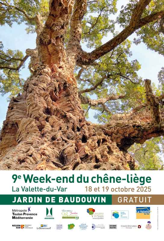 Les sorties dans le Var en octobre et novembre 2025