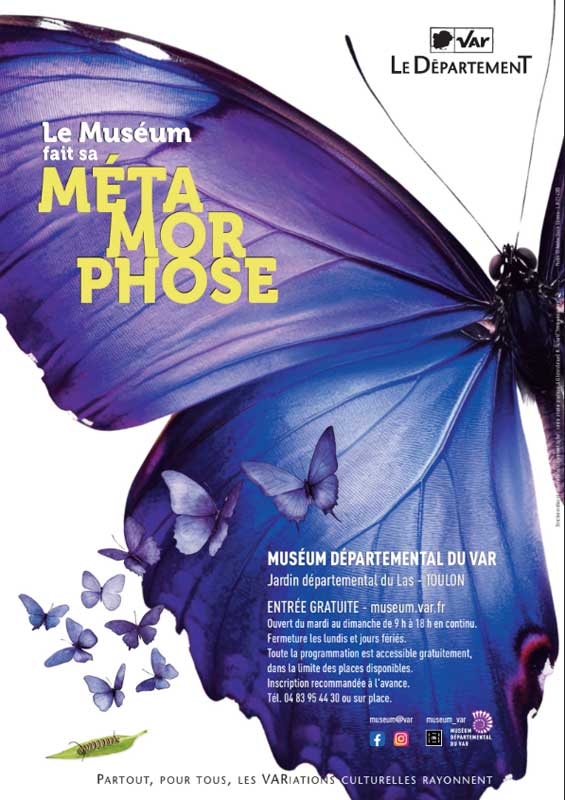 Les sorties dans le Var en octobre et novembre 2025