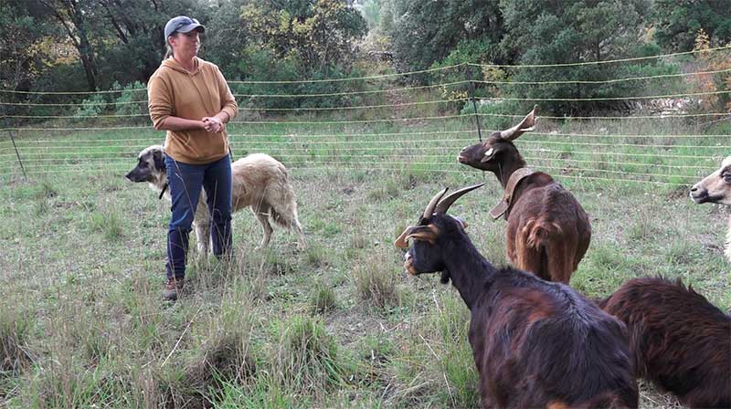 Elle vise à encourager un partage respectueux de la colline entre promeneurs, sportifs et éleveurs.