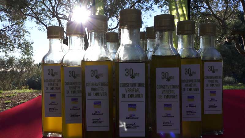 Conservatoire de l’Olivier de La Valette fête ses 30 ans