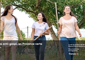 gaspillage alimentaire