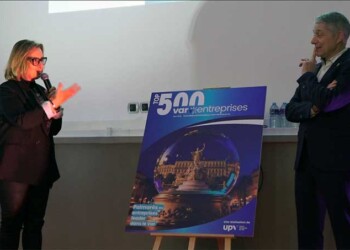 Top 500 Var Entreprises_info83